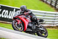 PJ-Motorsport-2019;anglesey;brands-hatch;cadwell-park;croft;donington-park;enduro-digital-images;event-digital-images;eventdigitalimages;mallory;no-limits;oulton-park;peter-wileman-photography;racing-digital-images;silverstone;snetterton;trackday-digital-images;trackday-photos;vmcc-banbury-run;welsh-2-day-enduro